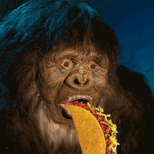 Sasquatch Taco